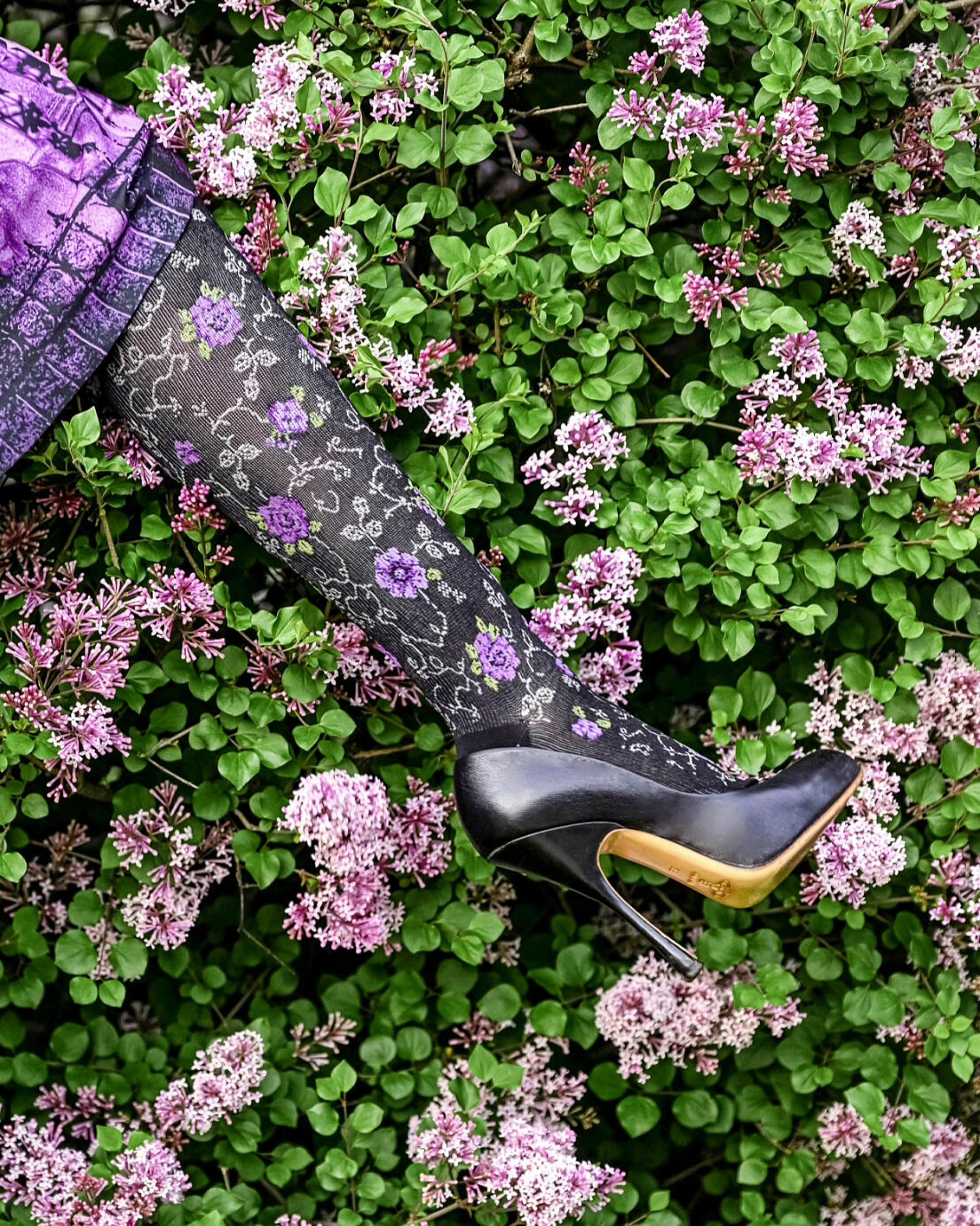 Efficitur faucibus vitae